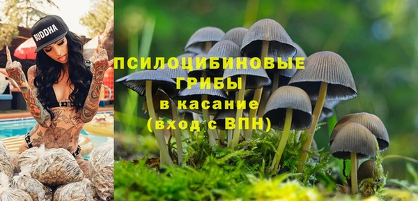 MDMA Алексеевка