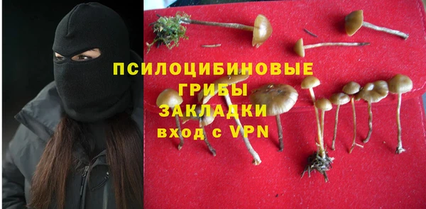 таблы Алексин