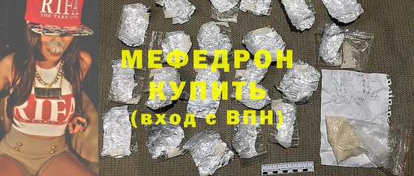 индика Осинники
